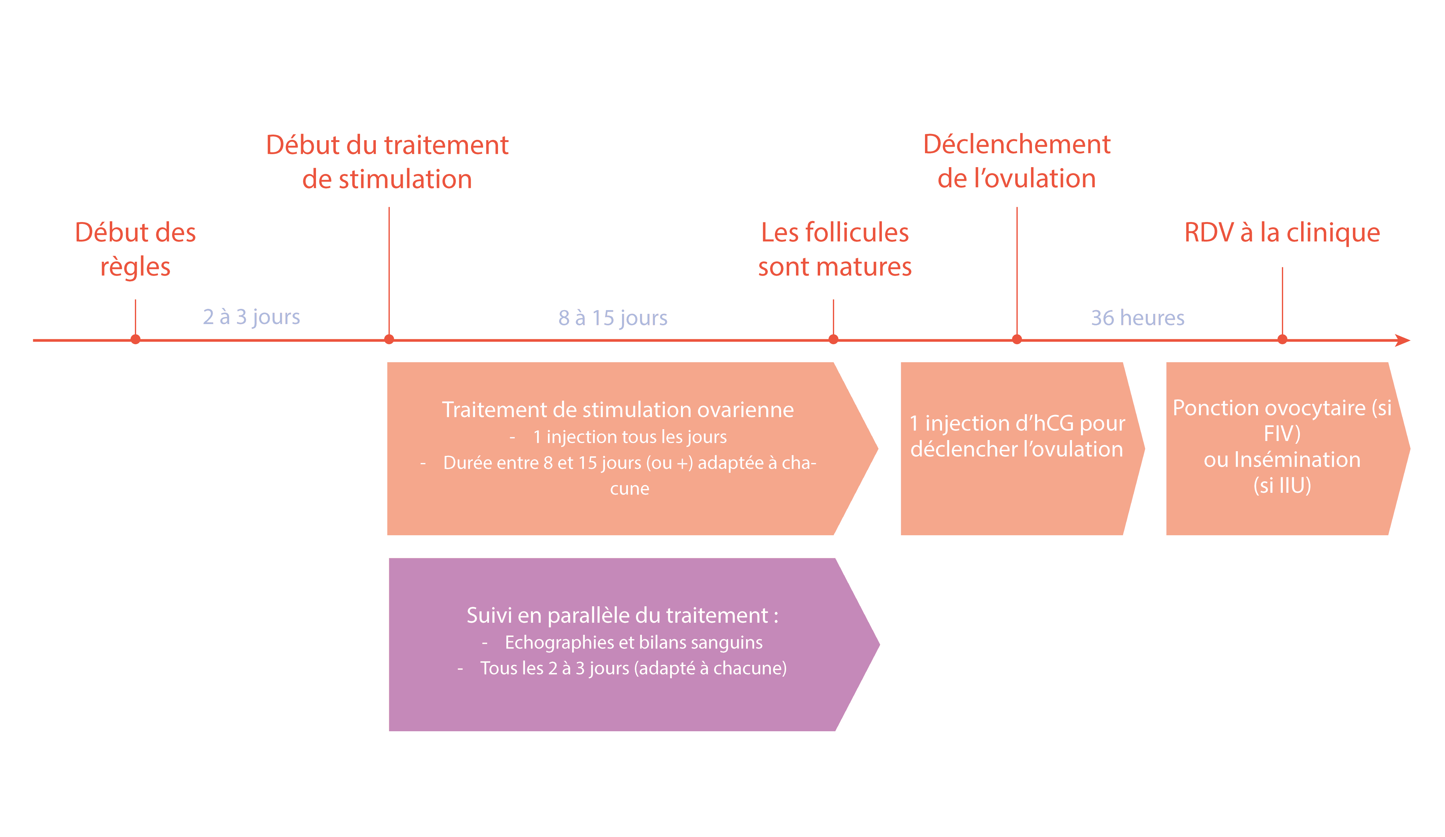 FIV-PMA-IIU-stimulation-impact