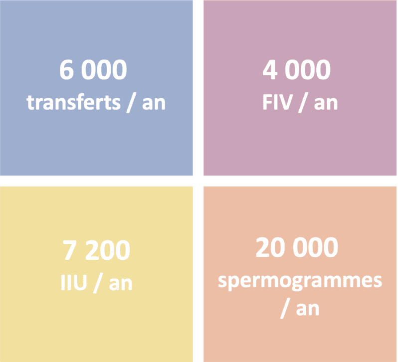 FIV-PMA-IIU-stimulation-impact