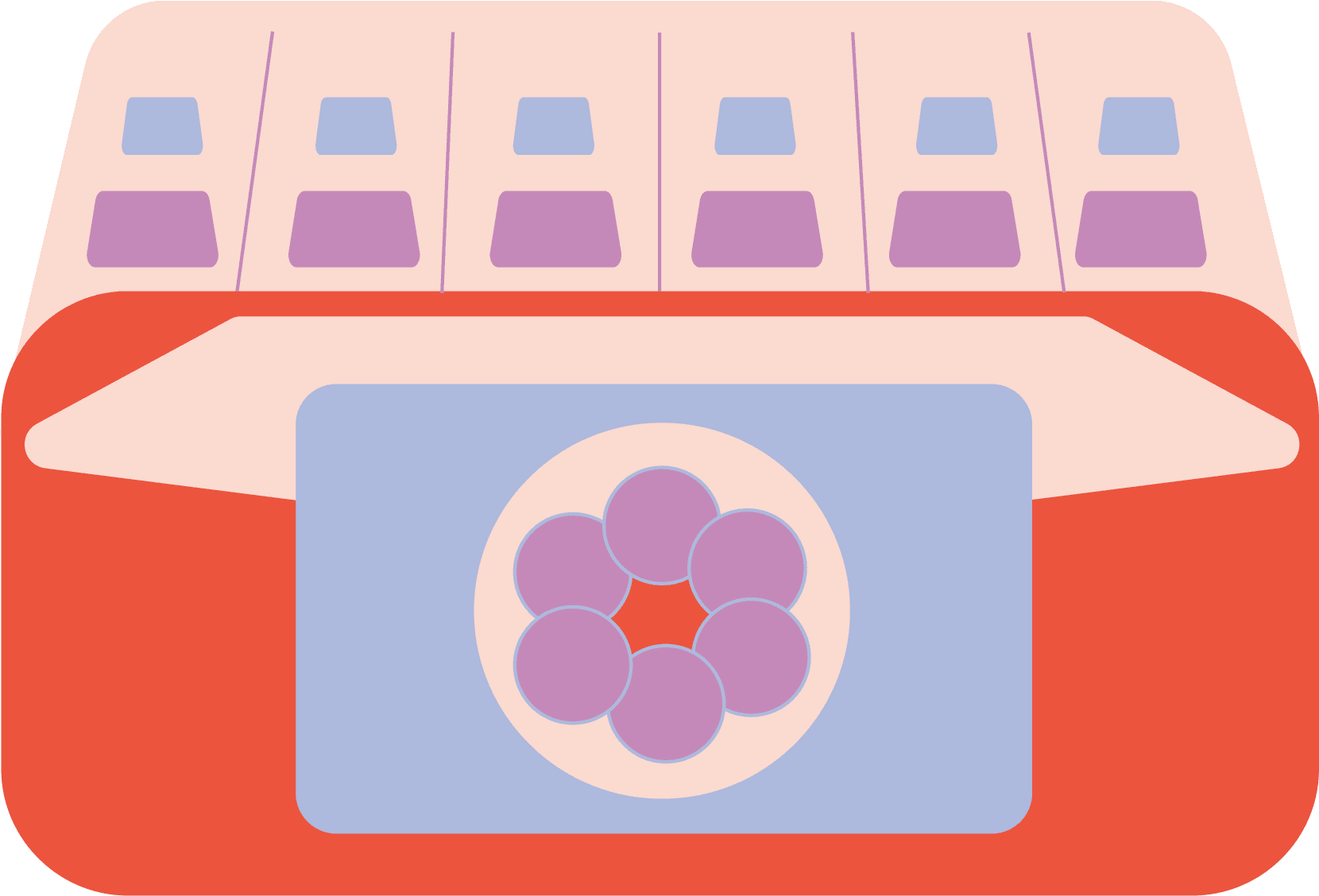 FIV-ovocytes-PMA-embryon-invitro